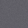 EXR081 Grey