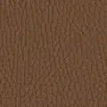 PL05429 Cognac