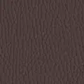 PL55130 Dark brown