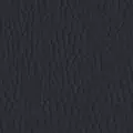 PL55185 Charcoal