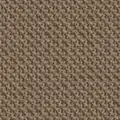 SC61184 Light brown