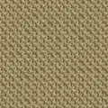 SC62097 Light ochre