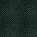 SC68209 Dark green