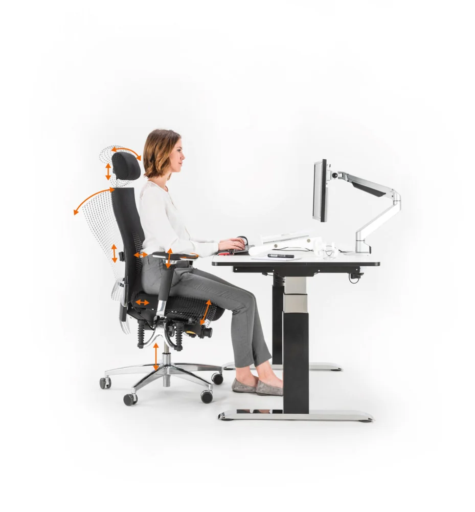 Ergonomischer Arbeitsplatz mit BIOSWING 660 und Netzrücken