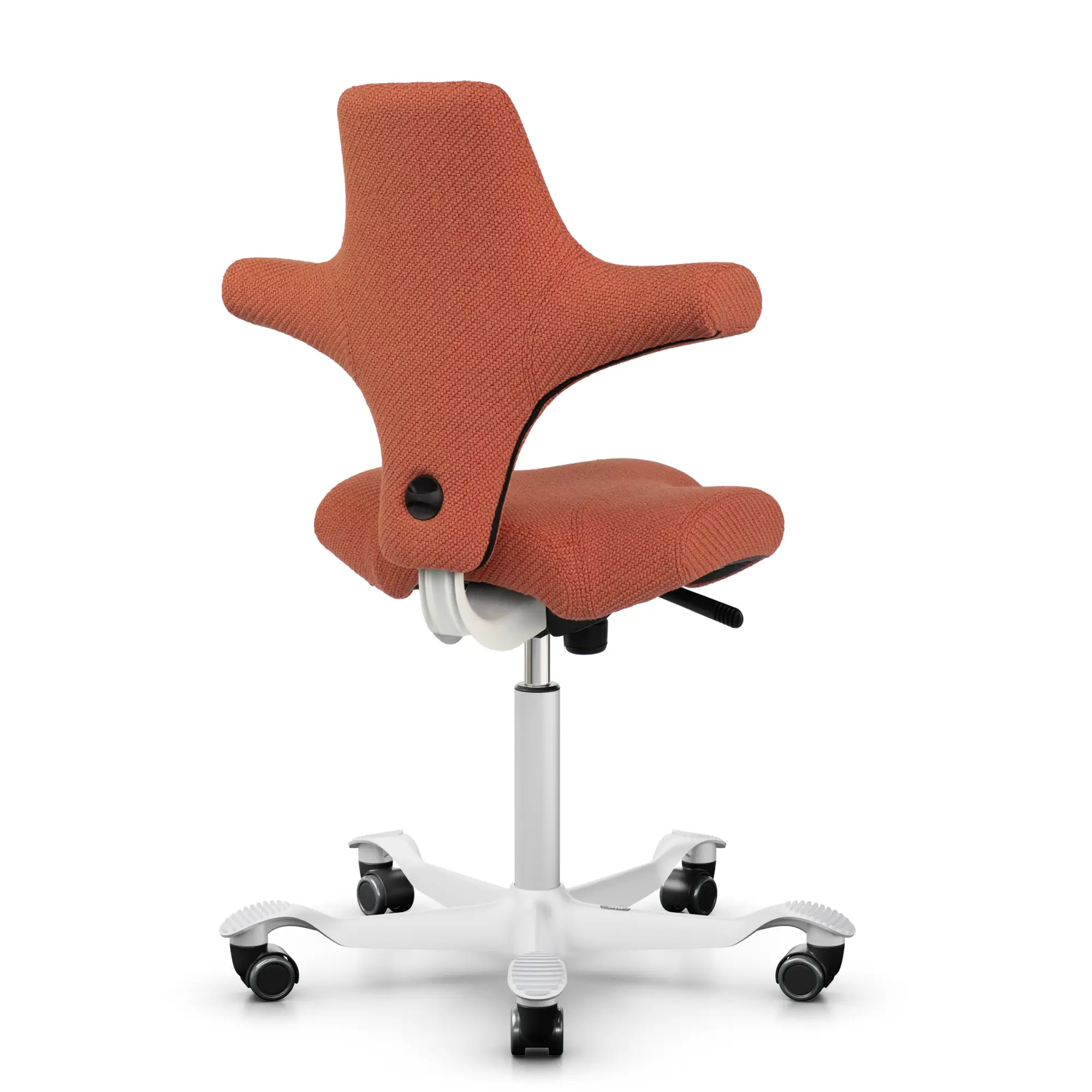 Haider Bioswing – Zusatzbild